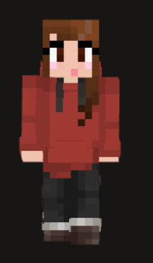 Skin forfra.png