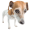 Admin